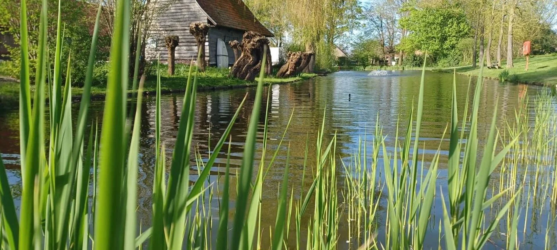 KVVI foto 31